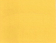 2005 Hyundai Sunbrust Yellow